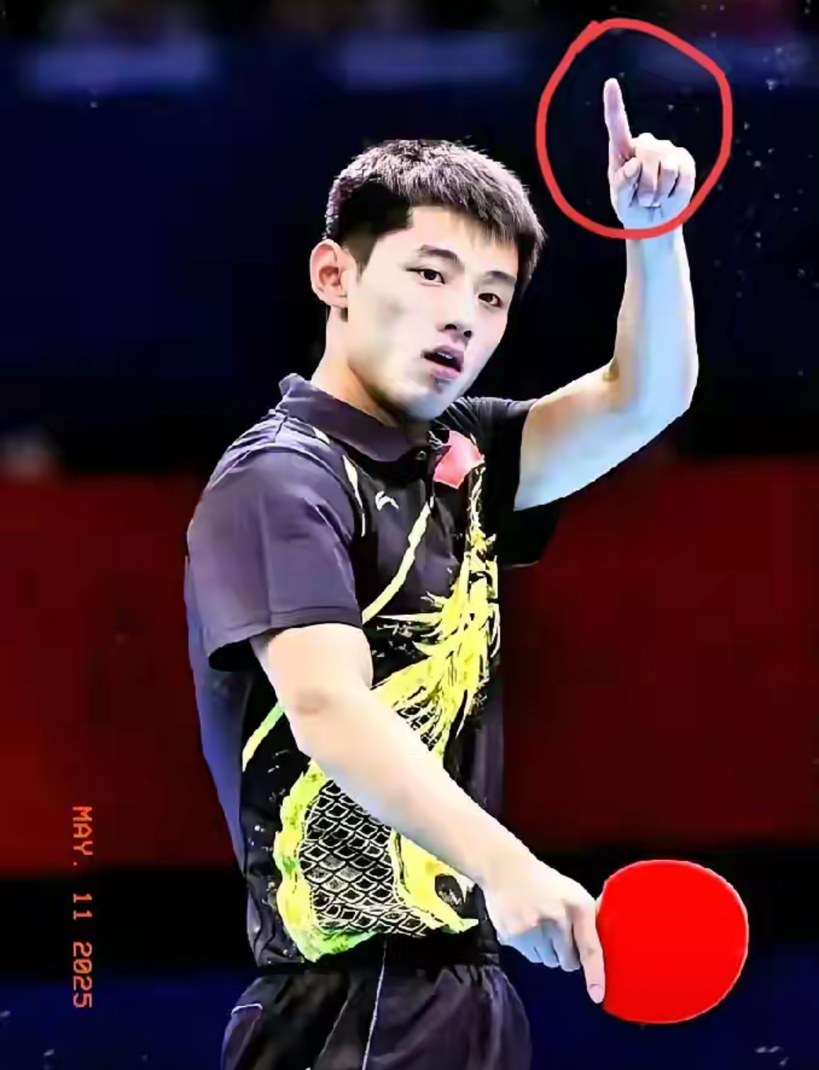 比利时乒乓球队绝杀日本乒乓球队，张继科制霸全场