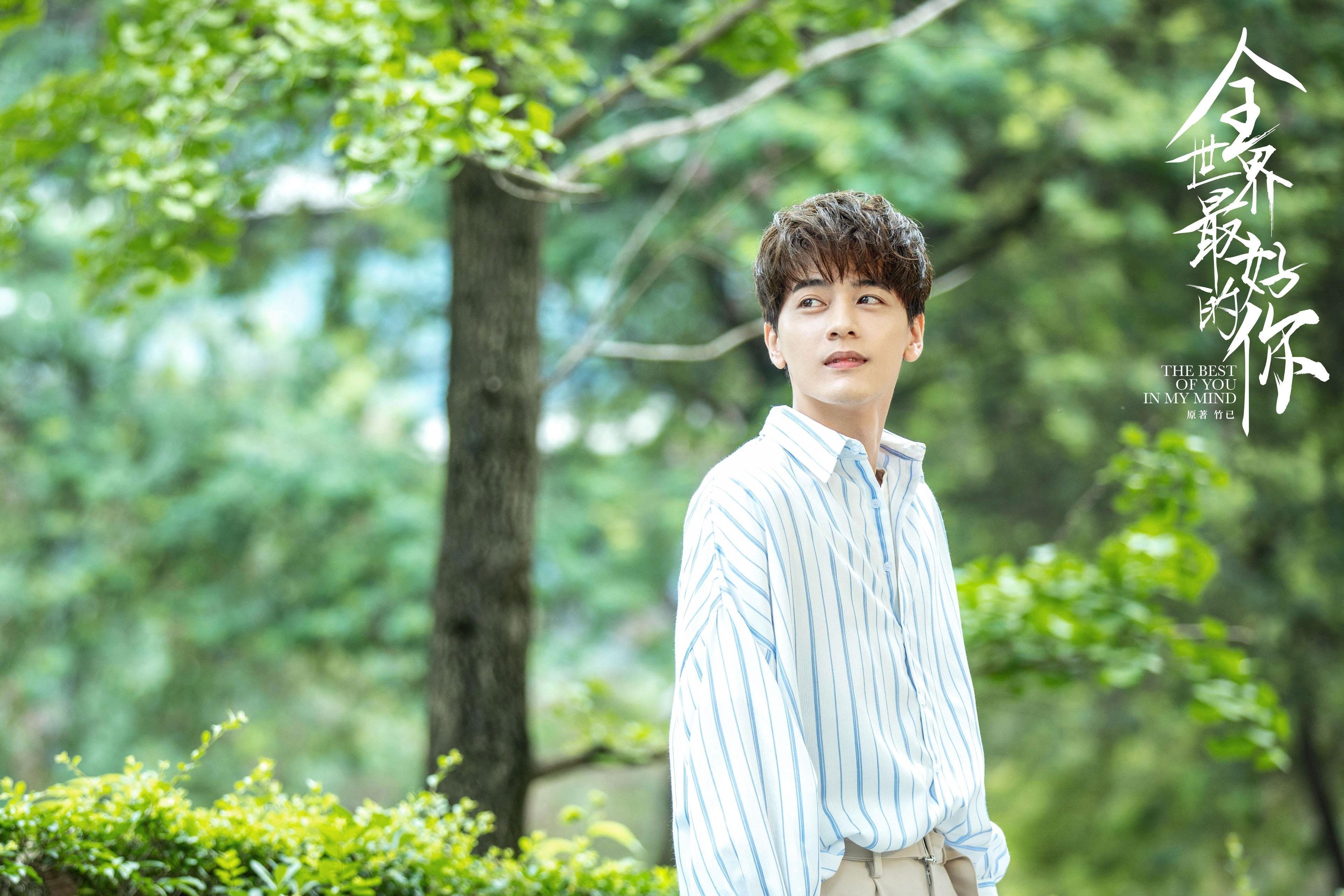 骑士的铁血与利拉德的暗影,当团队逆转遇见个人终极时刻