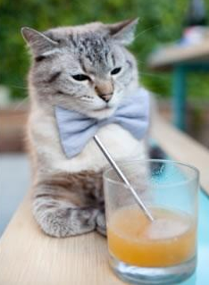 阿圭罗的脊梁，当绝杀成为领袖的加冕礼