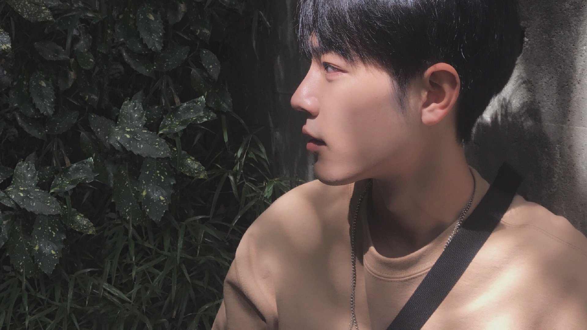 金色穹顶下的宣言，冠军的心不只于桂冠，更在于爬起时膝上的尘土