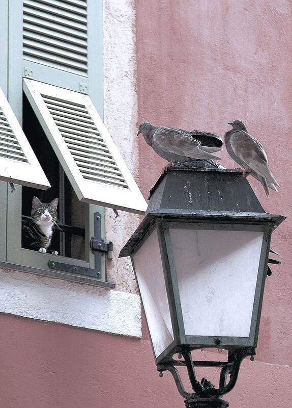 慈善赛惊现国家碾压俱乐部，基米希化身哥斯达黎加关键先生，友谊赛踢出世界杯级攻防