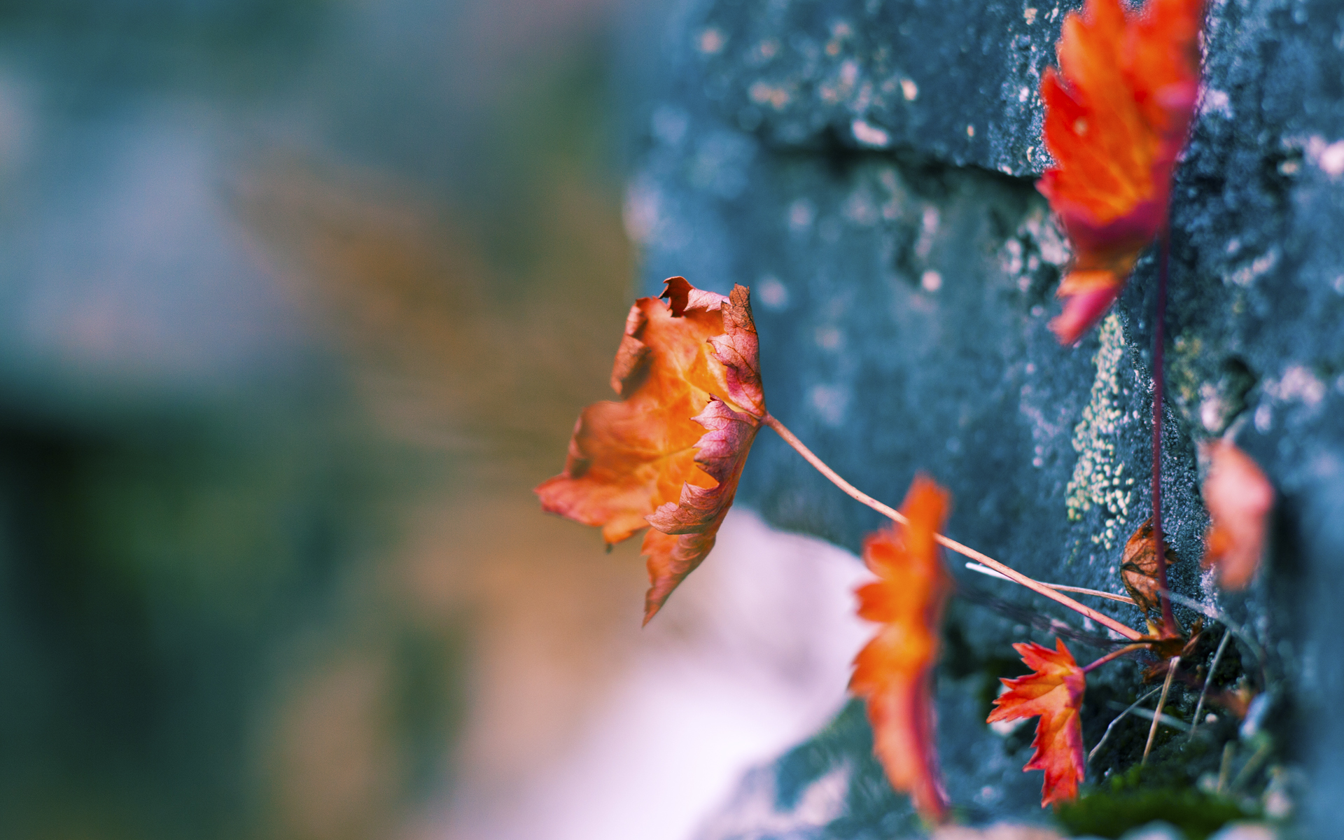 格纳布里的传奇之夜，NBA季后赛的关键先生