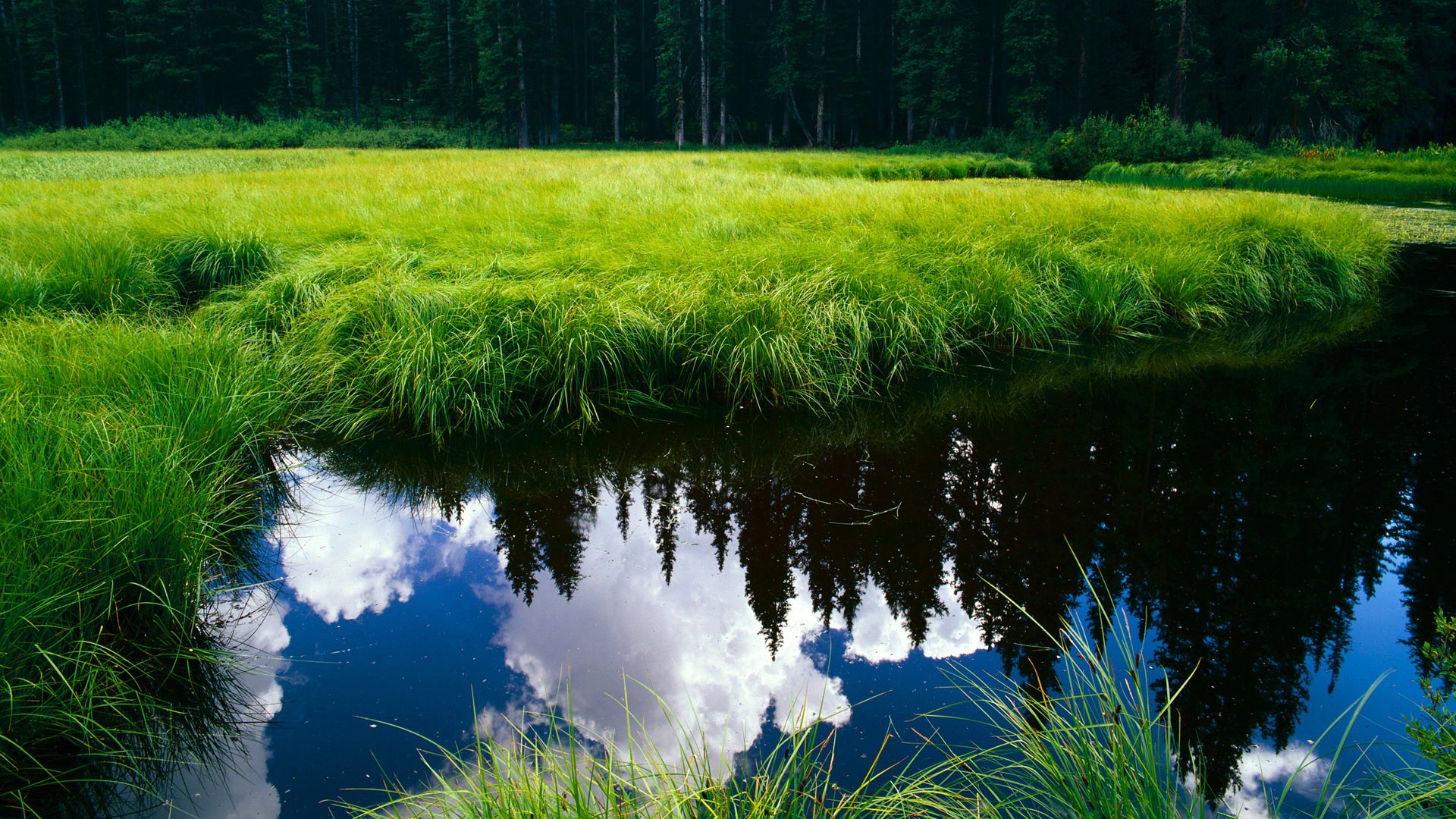 暗夜王冠，奥斯梅恩与那粒改写足球定义的进球