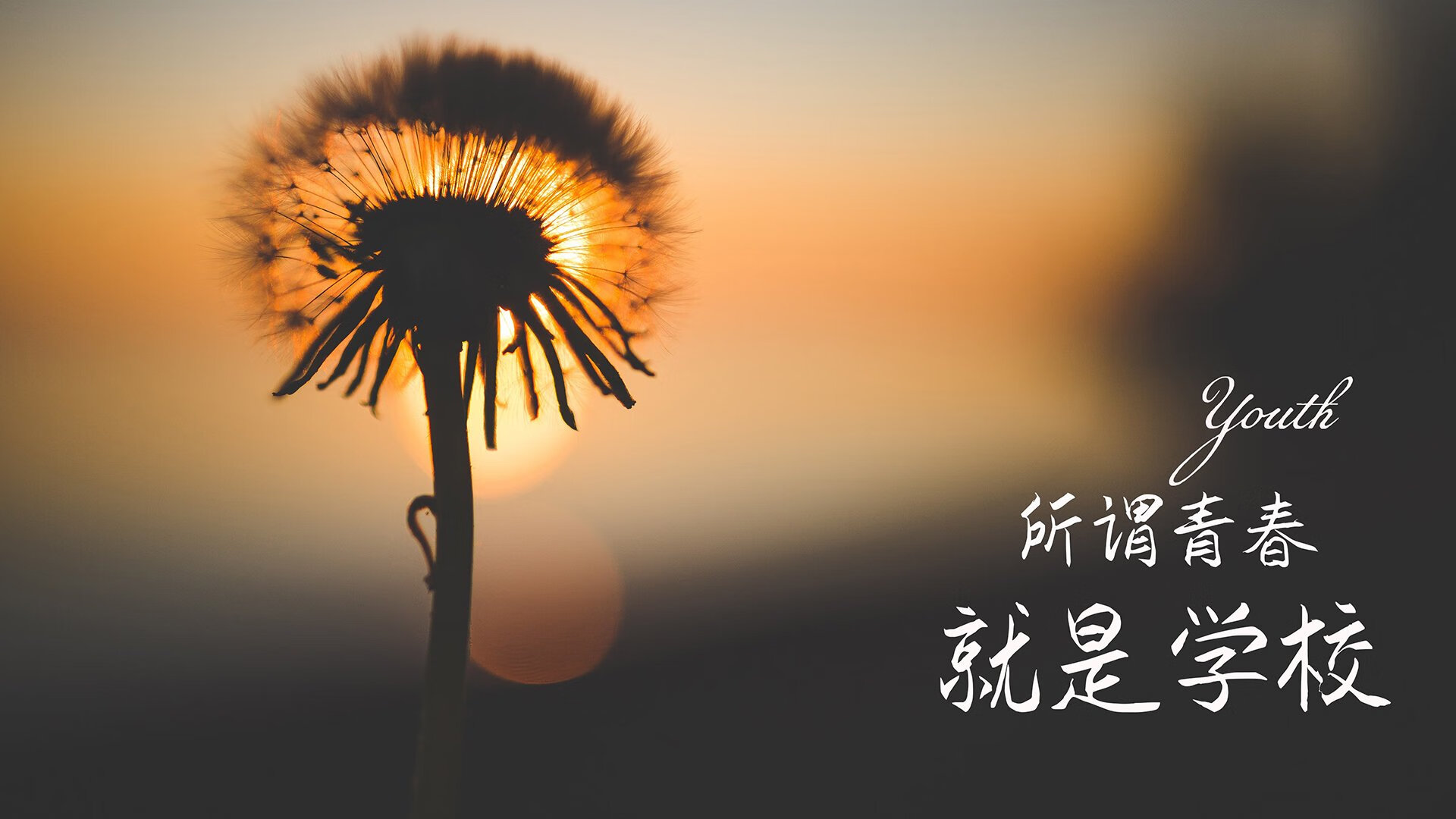 基多雄鹰折翼华沙铁骑,萨内一剑封喉,厄瓜多尔控场制胜颠覆B组格局