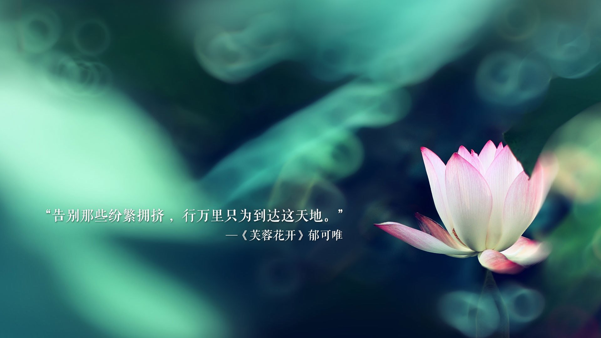 德容铁腕治军,美国队以唯一之名完胜斯洛伐克,2026世界杯H组关键战的战术启示录