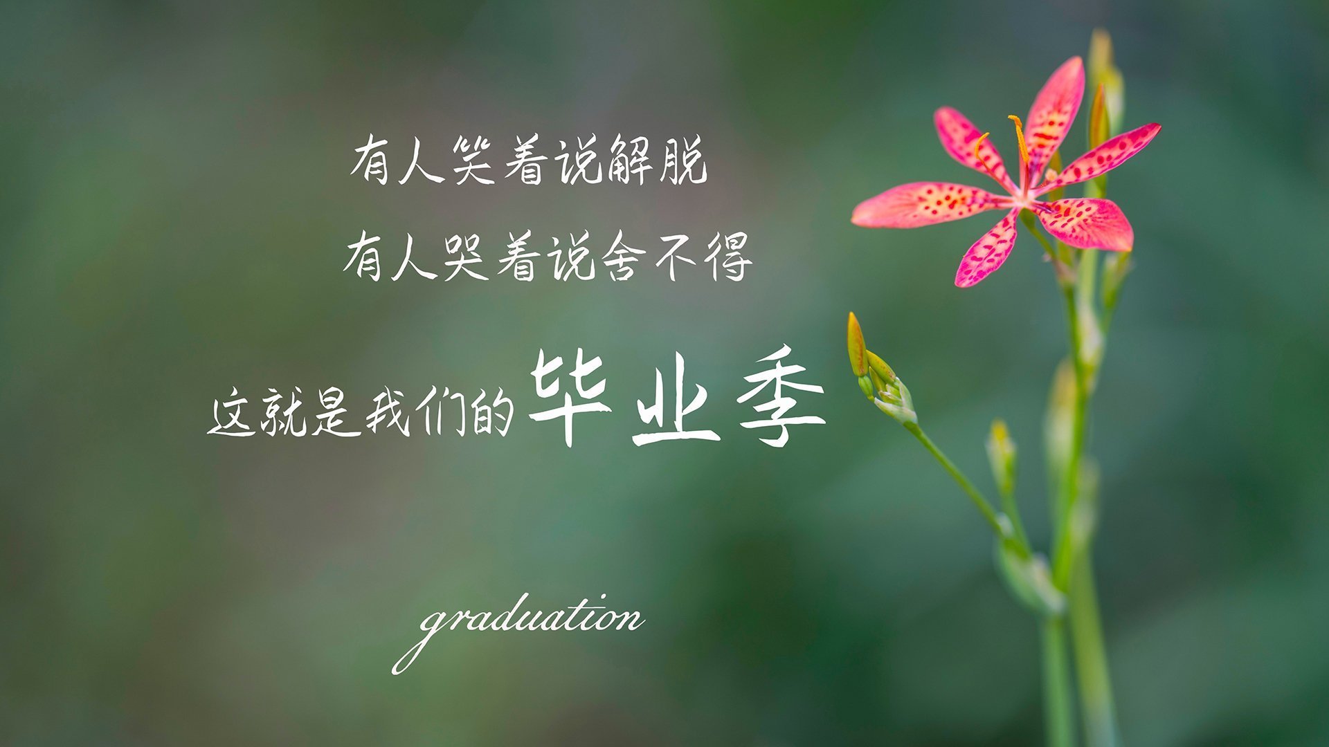 南美生死局，当齐耶赫的魔幻左脚撕开钢铁防线，哥伦比亚在悬崖边写就唯一答案
