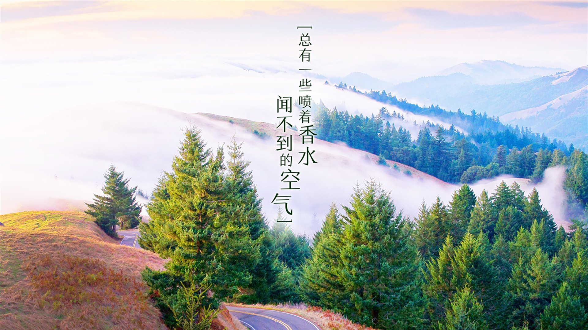 蓝刃破晓,2026世界杯C组焦点战,匈牙利以铁血纪律瓦解日本,奥斯梅恩一人定义比赛